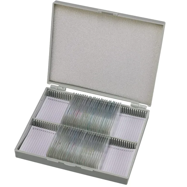 bresser-mikroskop-dauerpr-parate-30-st-ck-in-kunststoffbox-biologie-lernpr-parat image 1