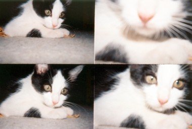 lomography-actionsampler-clear-analogkamera-mit-4-objektiven image 4