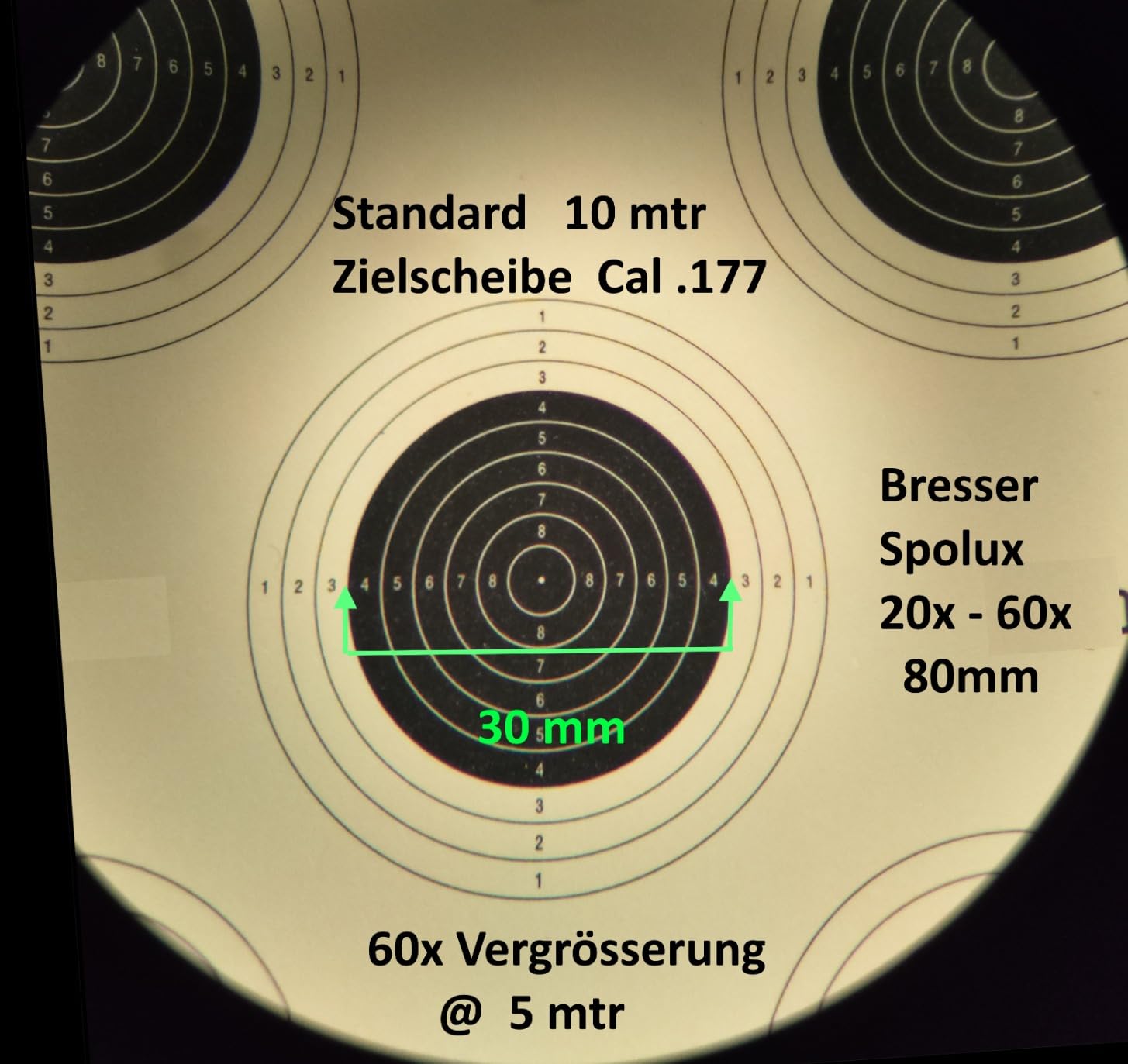 Vögel so nah wie nie