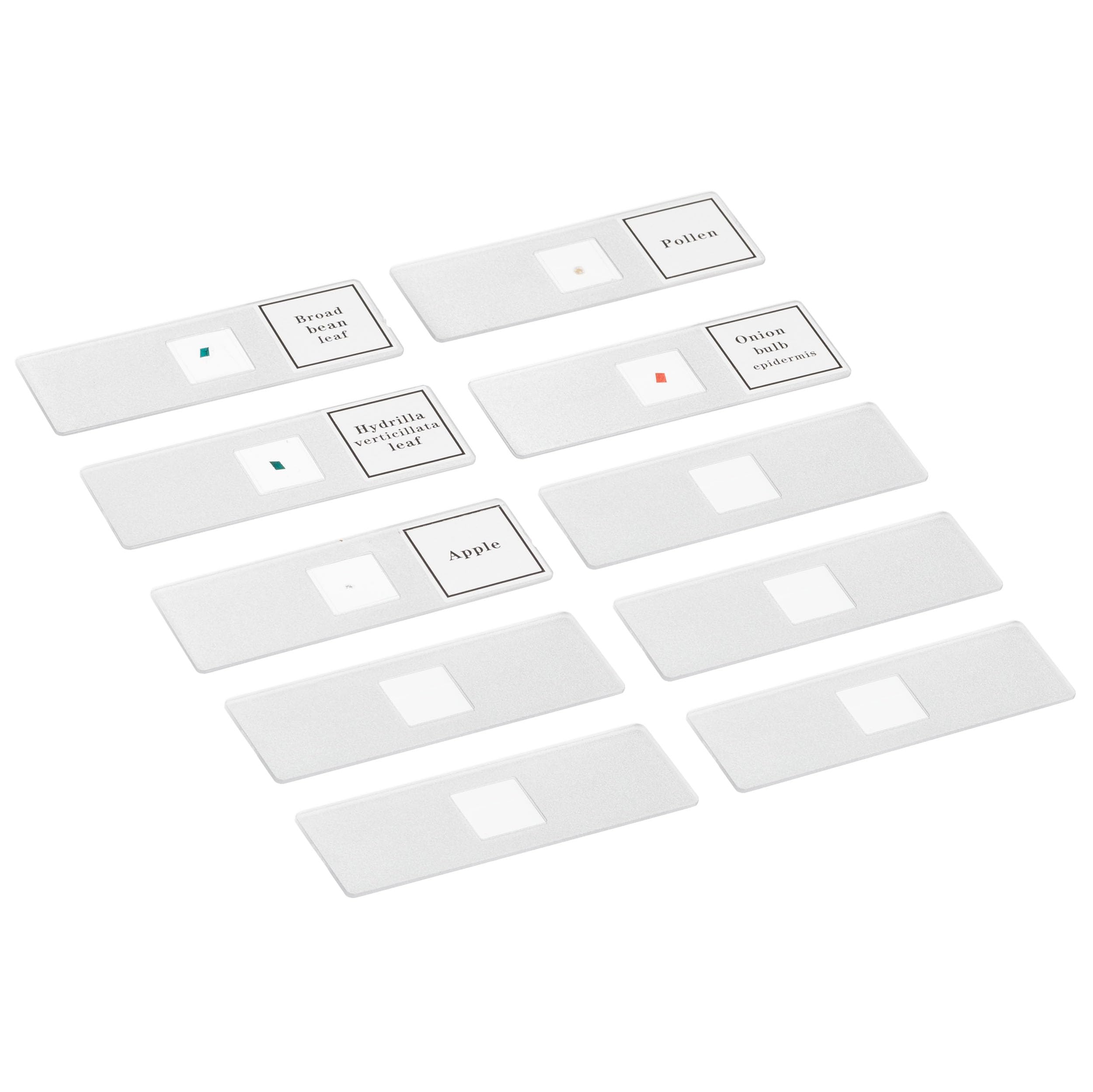 bresser-junior-mikroskop-set-biotar-300x-1200x-mit-zubeh-r-und-durchlichtbeleuch image 7