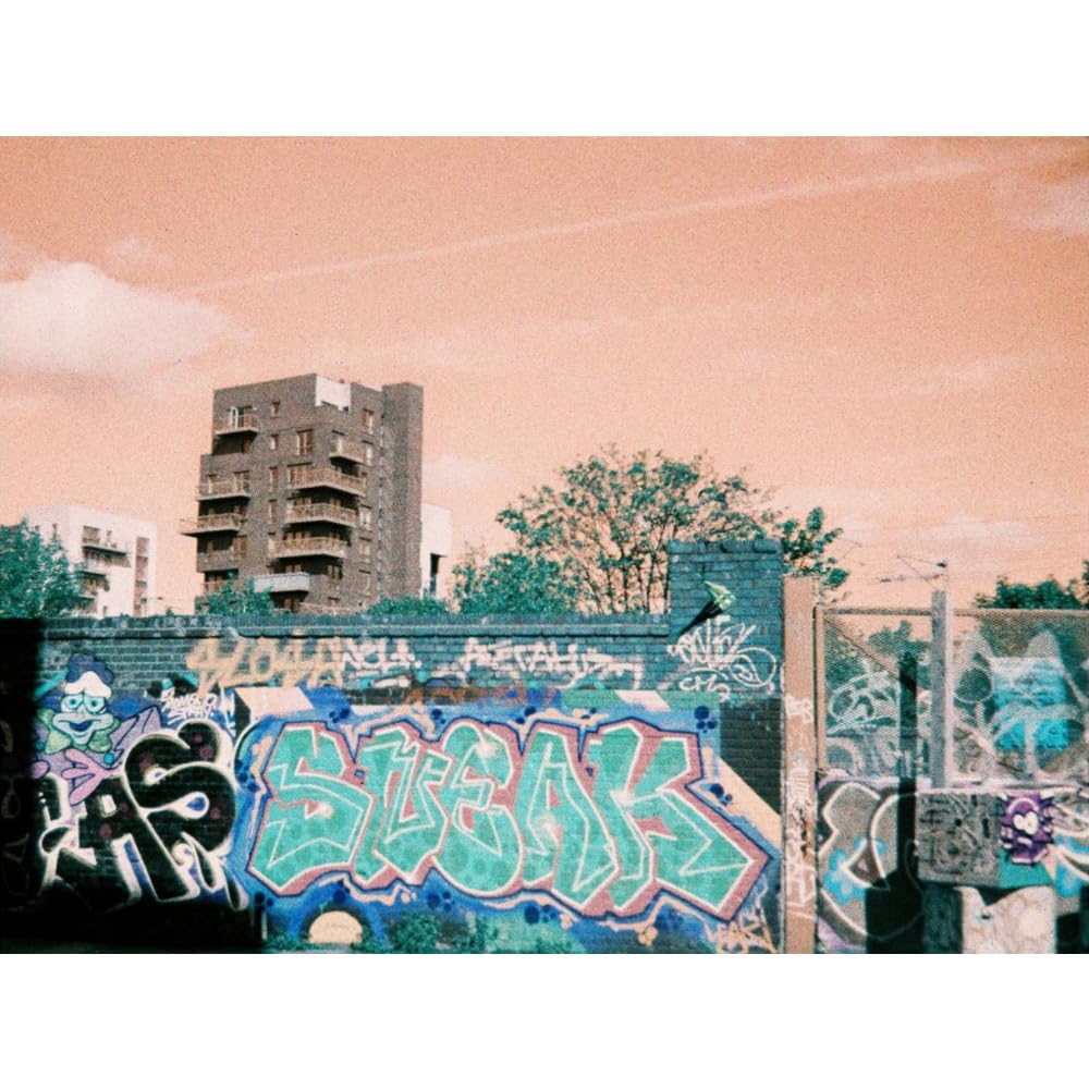 lomography-lomochrome-turquoise-110-film-iso-100-400 image 5