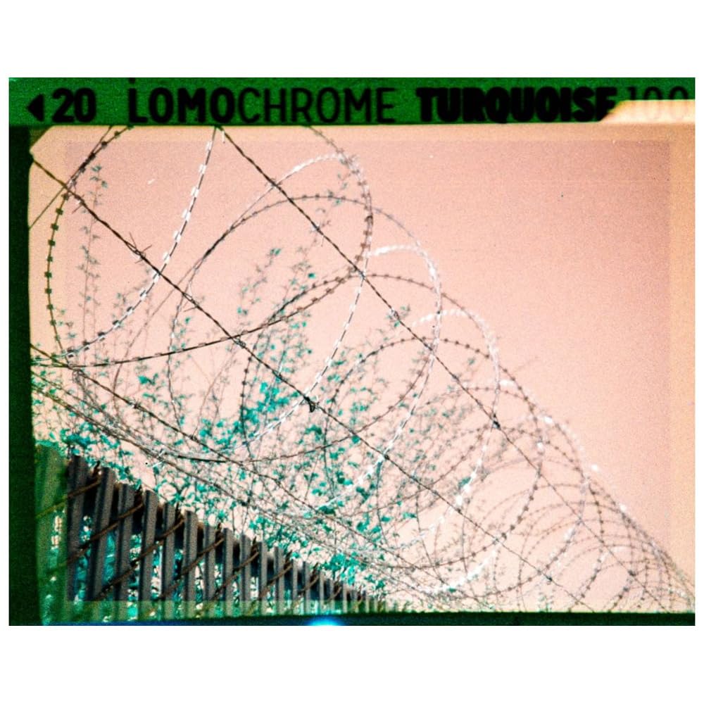 lomography-lomochrome-turquoise-110-film-iso-100-400 image 4