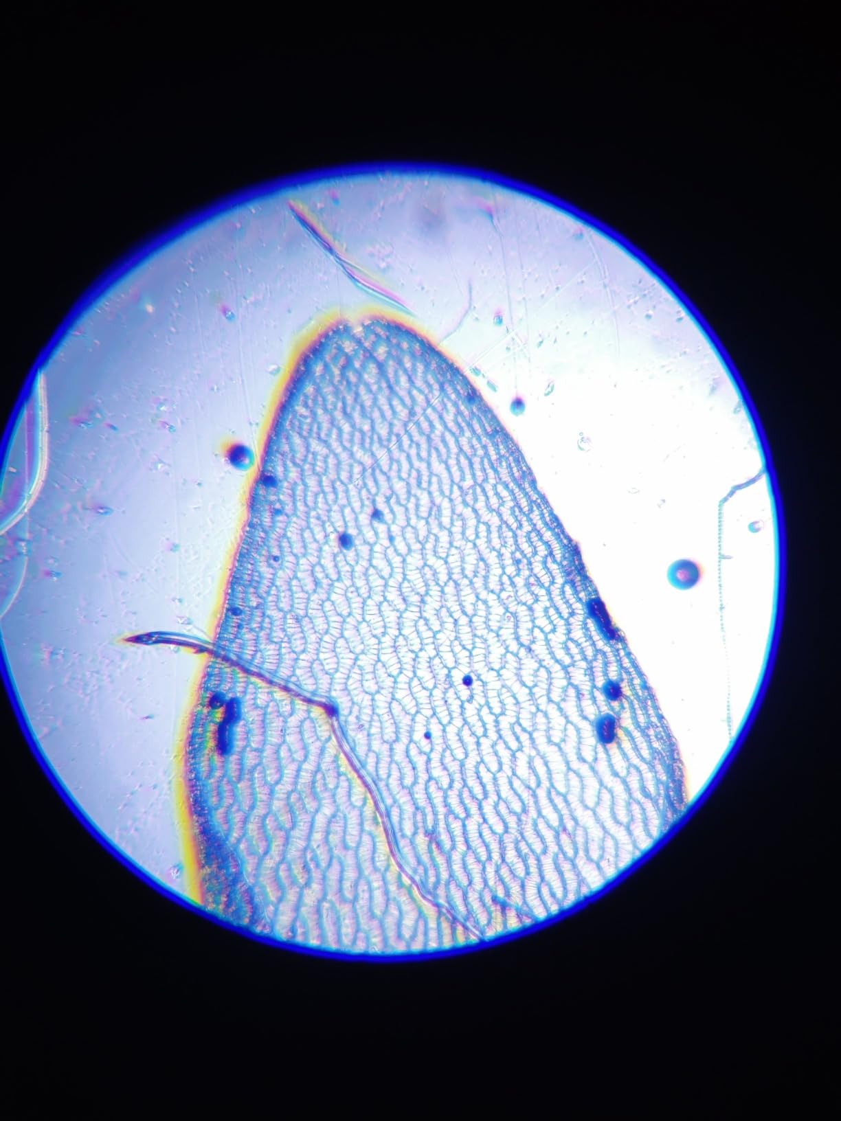 Perfektes Geschenk für meine Tochter