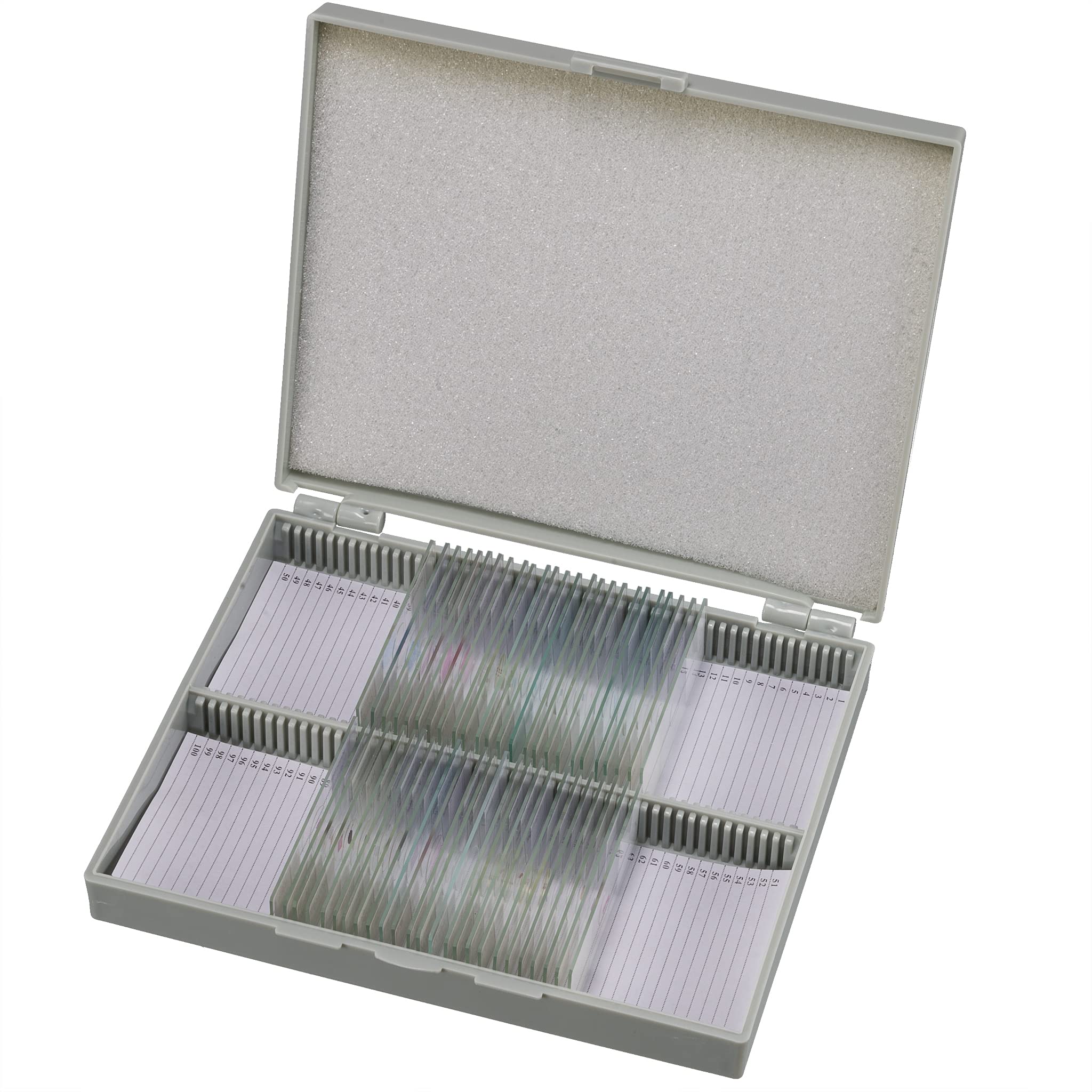 bresser-mikroskop-dauerpr-parate-30-st-ck-in-kunststoffbox-biologie-lernpr-parat image 1