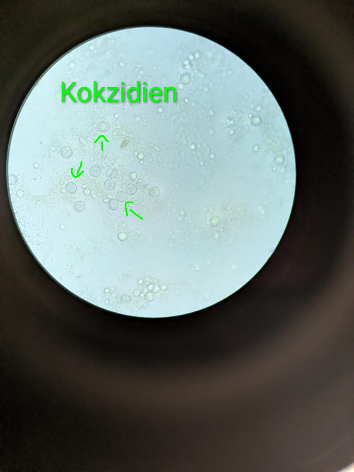 Enkel glücklich, Opa auch