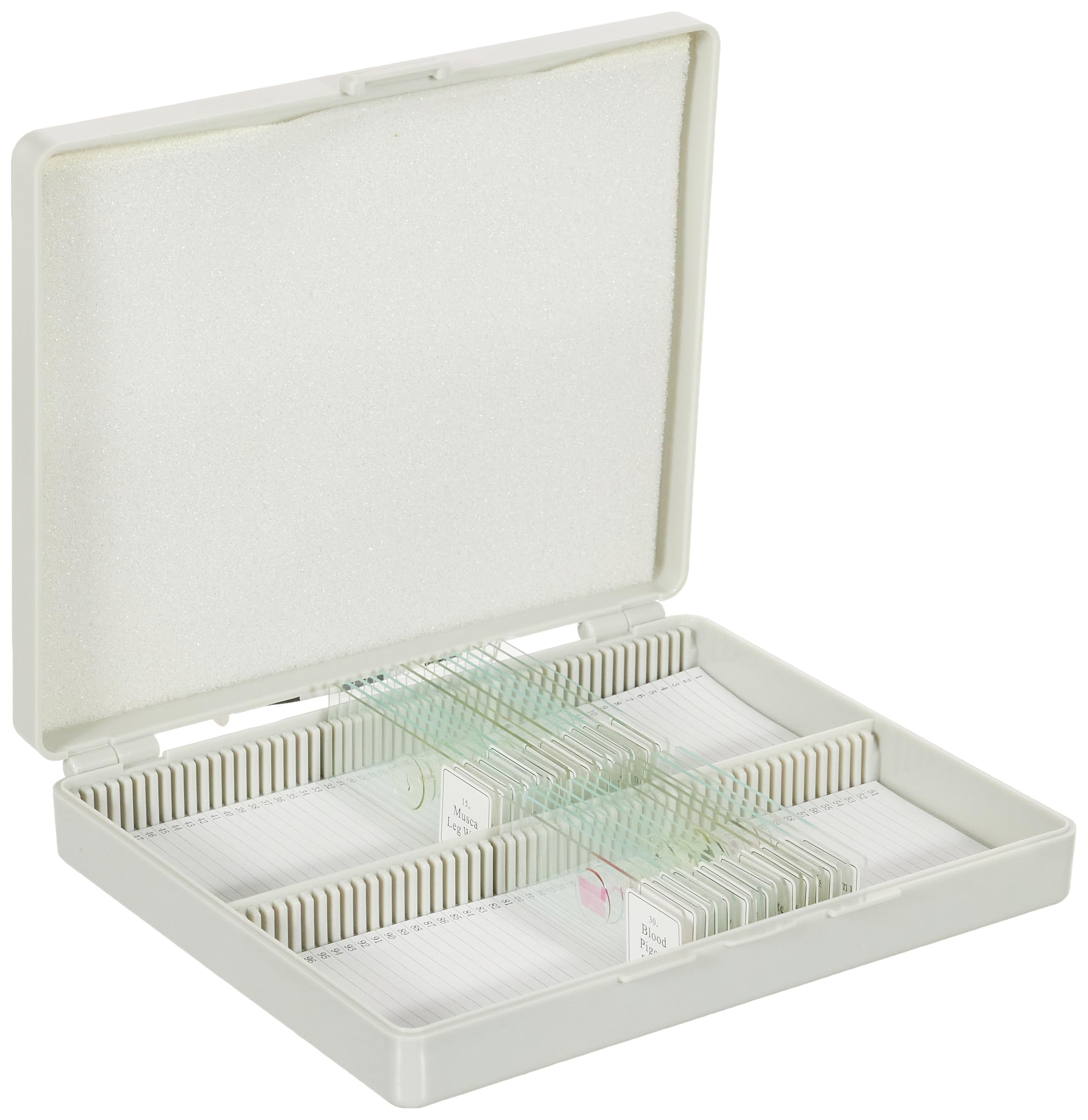 bresser-mikroskop-dauerpr-parate-30-st-ck-tier-set-in-box image 3