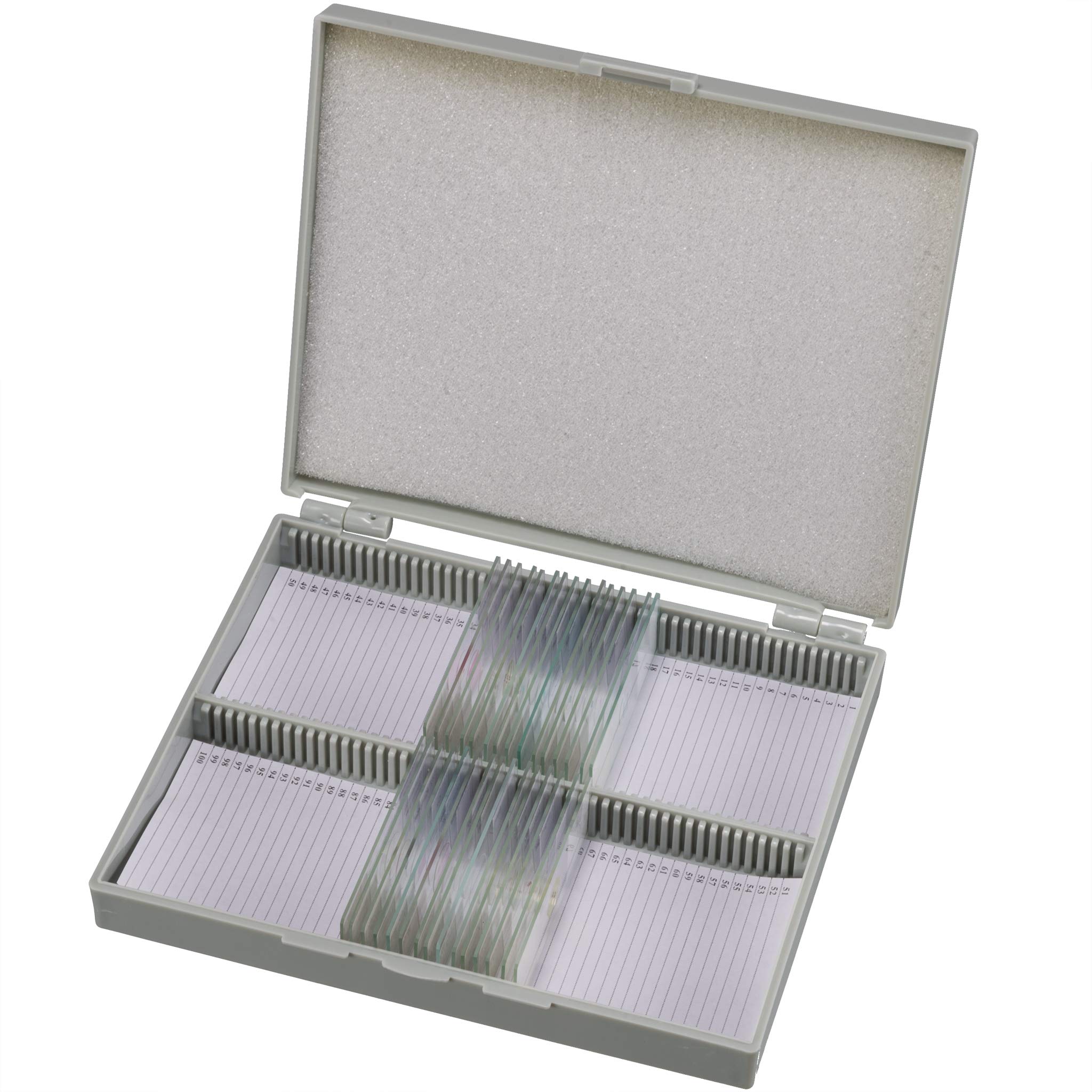 bresser-science-dauerpr-parate-100-st-ck-glas-objekttr-ger-box image 4