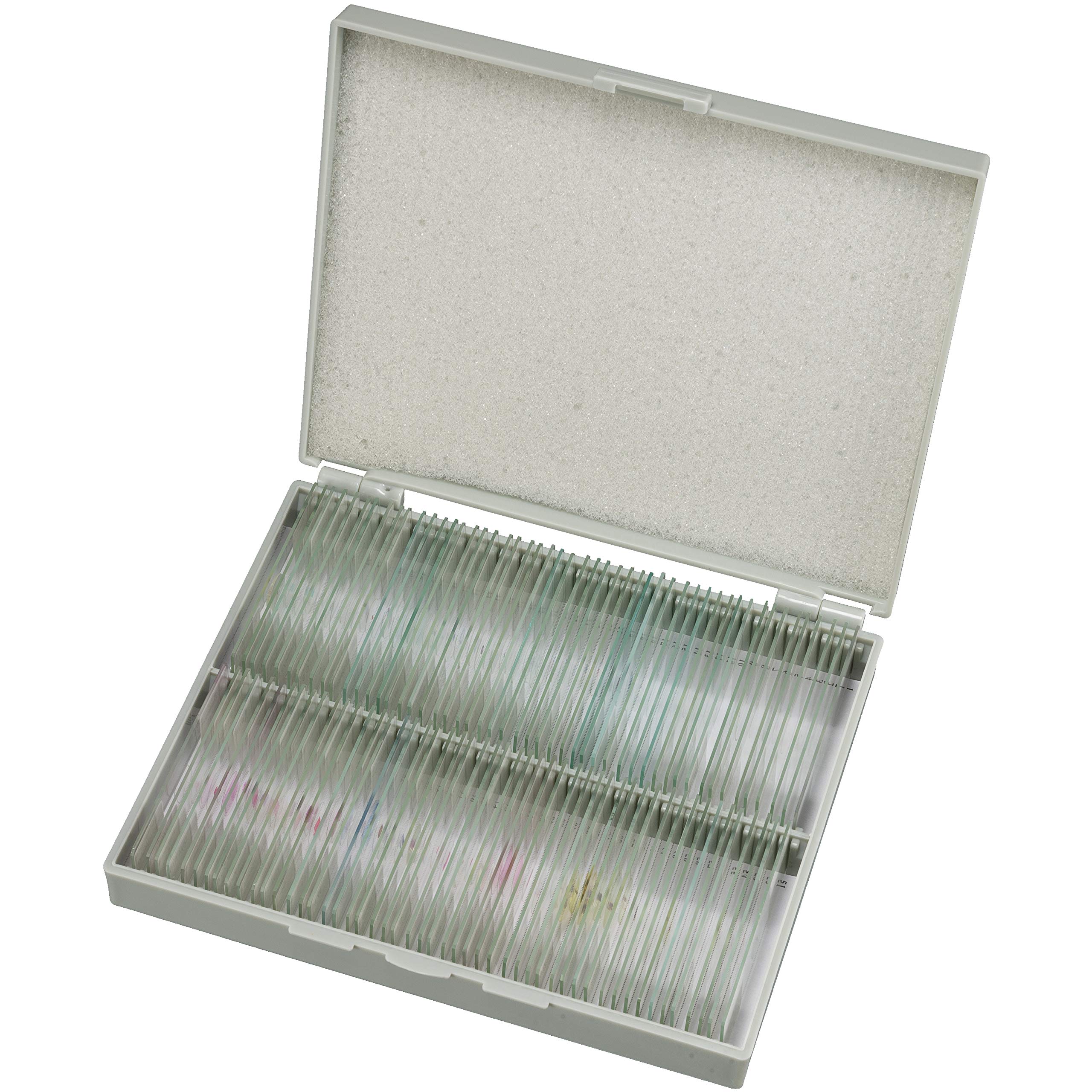 bresser-science-dauerpr-parate-100-st-ck-glas-objekttr-ger-box image 1