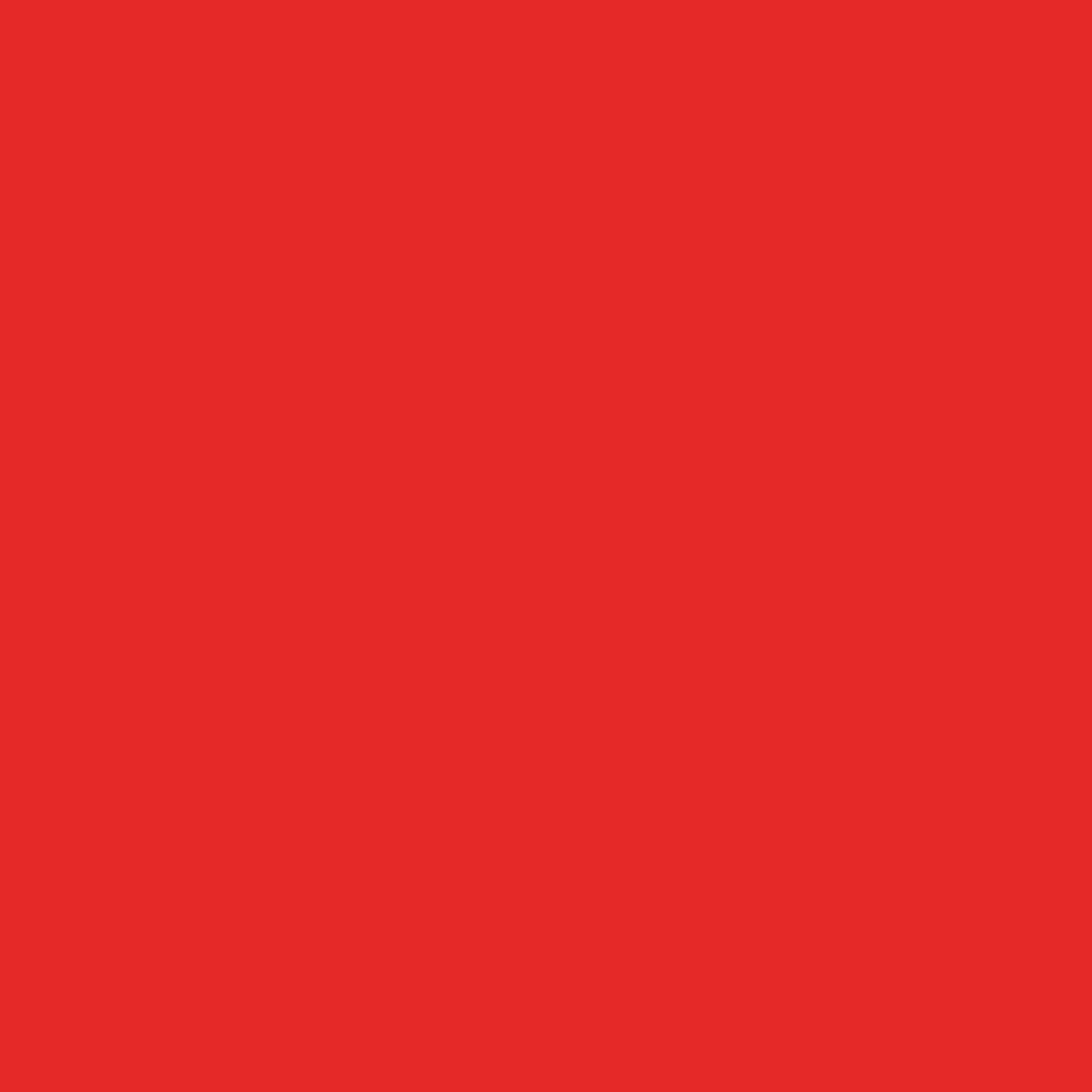 bresser-sbp05-papierhintergrundrolle-2-00-x-11-m-rot image 2