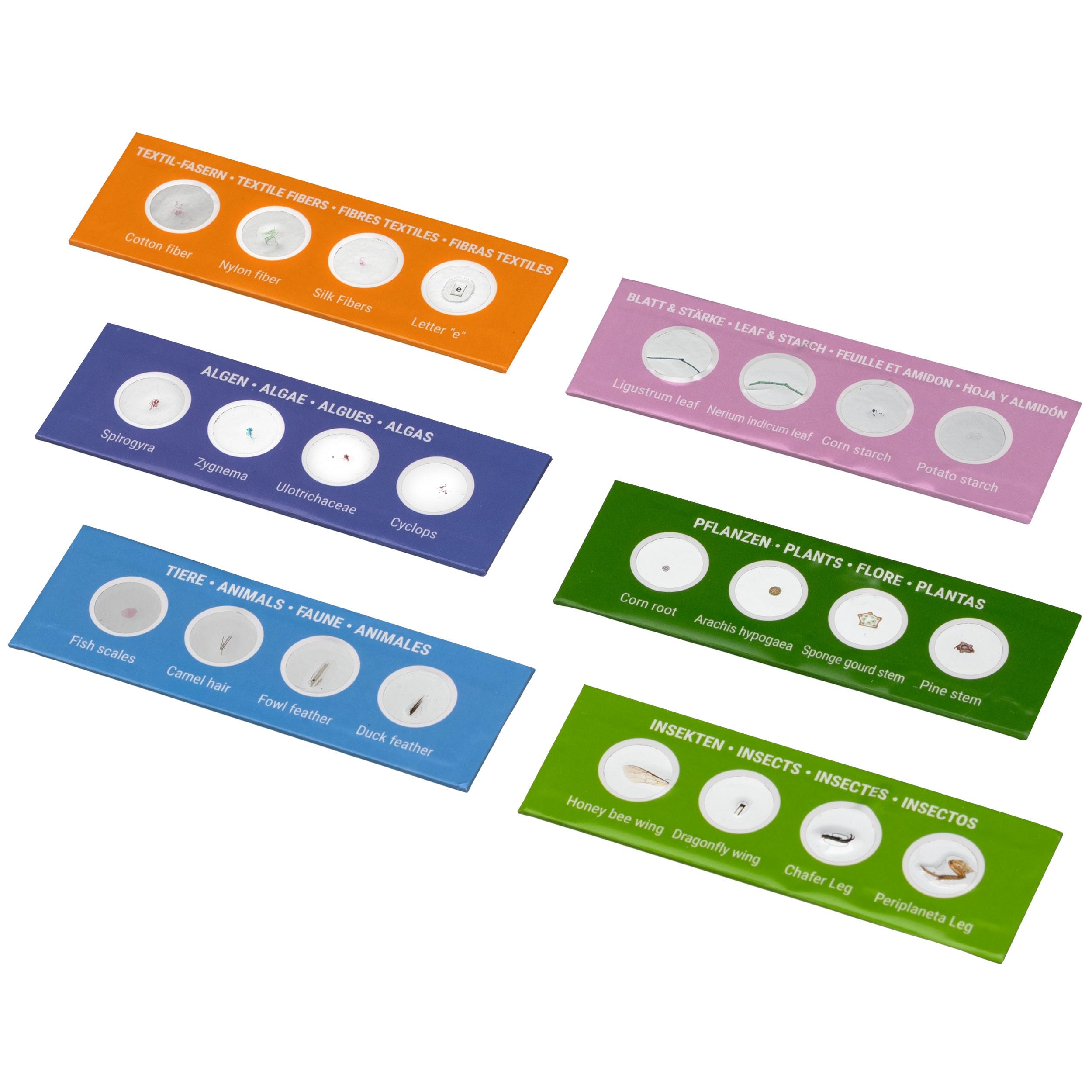bresser-junior-24-dauerpr-parate-mikroskop-starter-set-6-objekttr-ger image 3