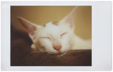 lomography-lomo-instant-automat-sofortbildkamera-south-beach image 7
