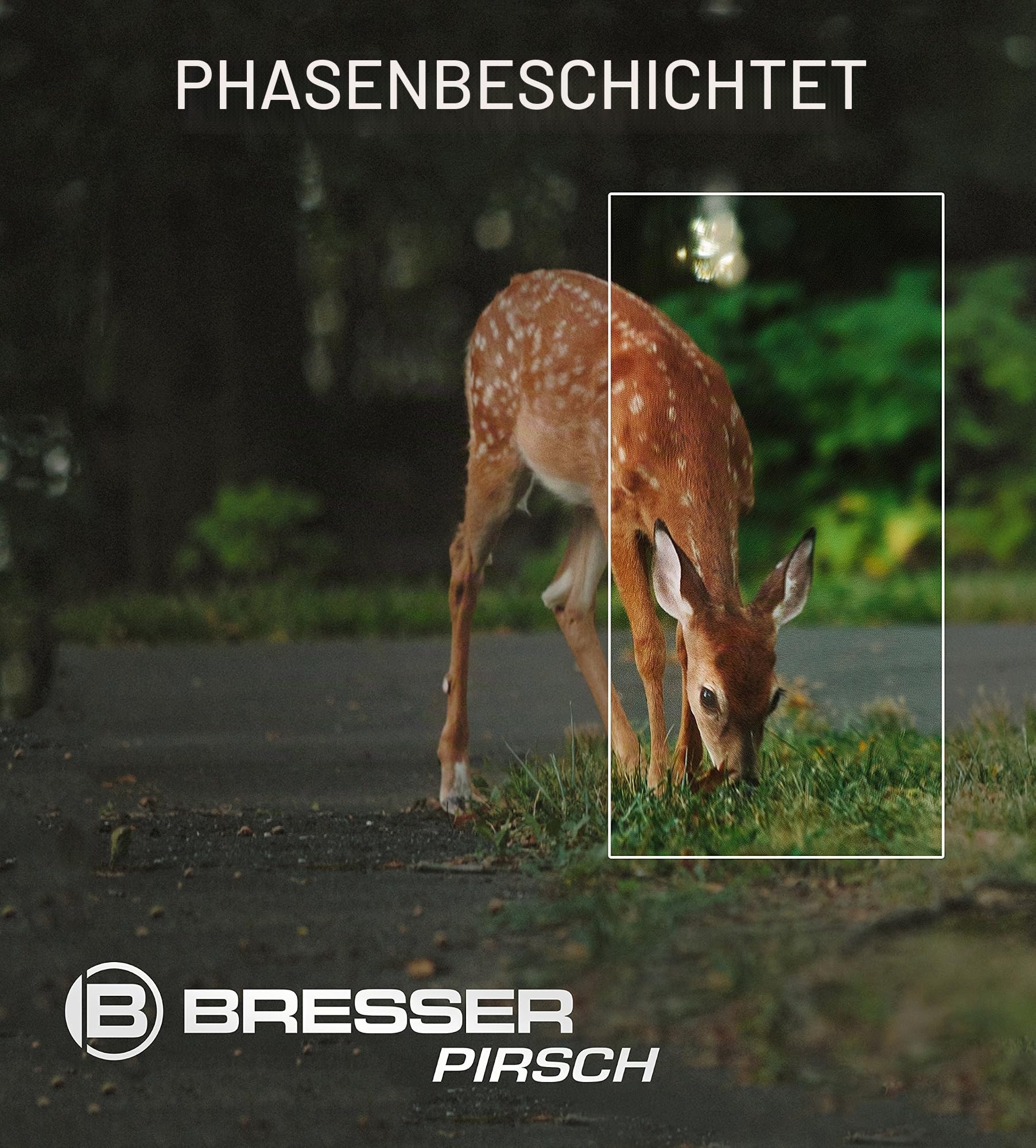 bresser-pirsch-8x34-fernglas-wasserdicht-mit-phasenverg-tung image 4