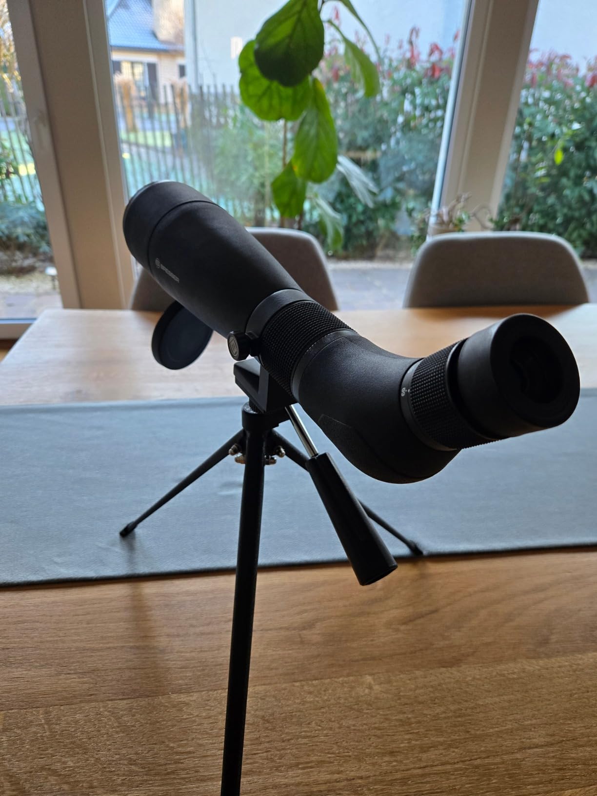 Vögel ganz nah