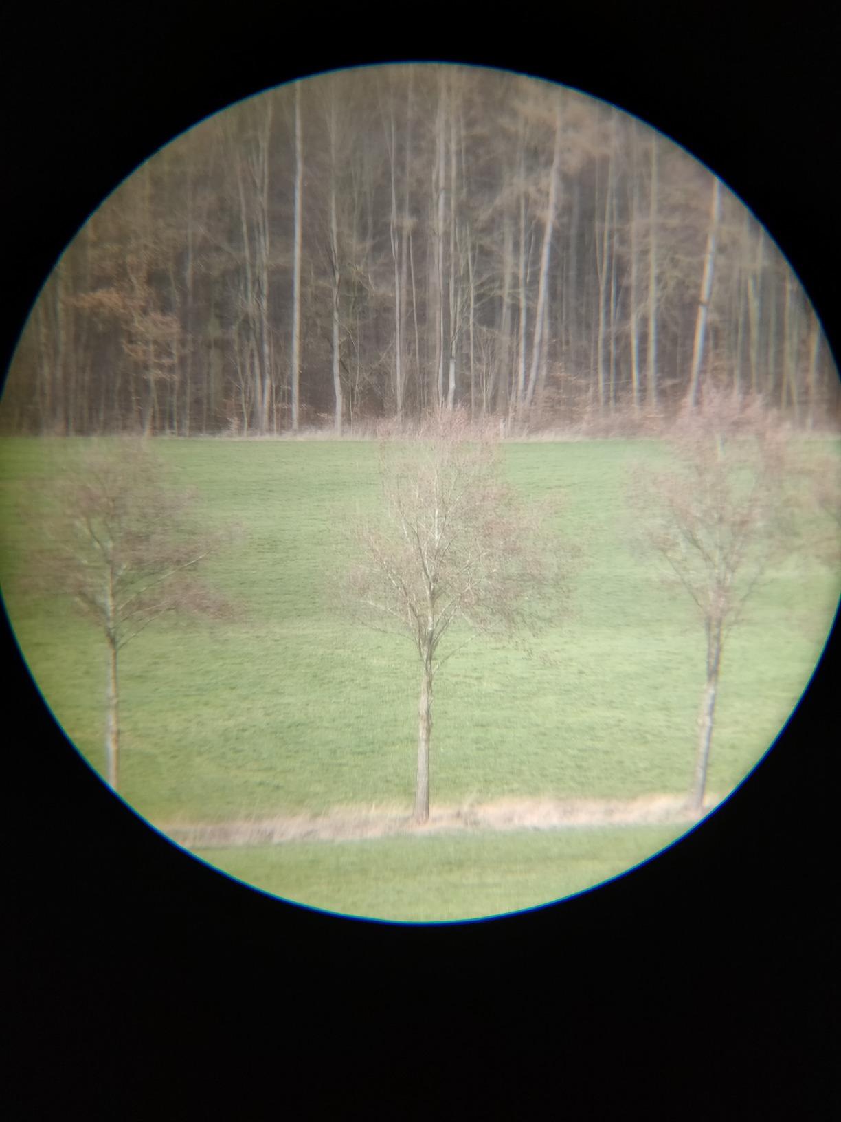 Für meine Augen zu dunkel
