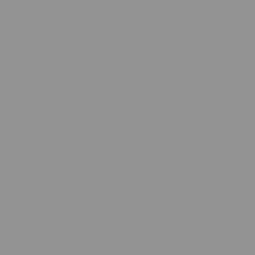 bresser-sbp17-papierhintergrundrolle-grau-2-00-x-11-m image 5