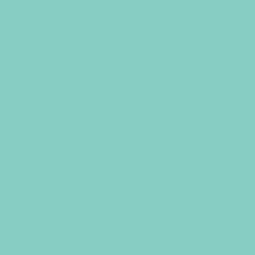 bresser-sbp18-papierhintergrundrolle-2-72-x-11-m-blau image 5