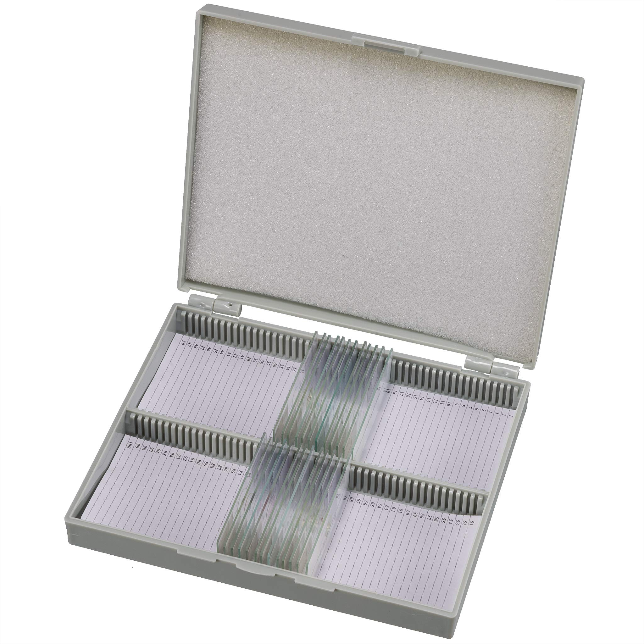 bresser-science-dauerpr-parate-100-st-ck-glas-objekttr-ger-box image 3