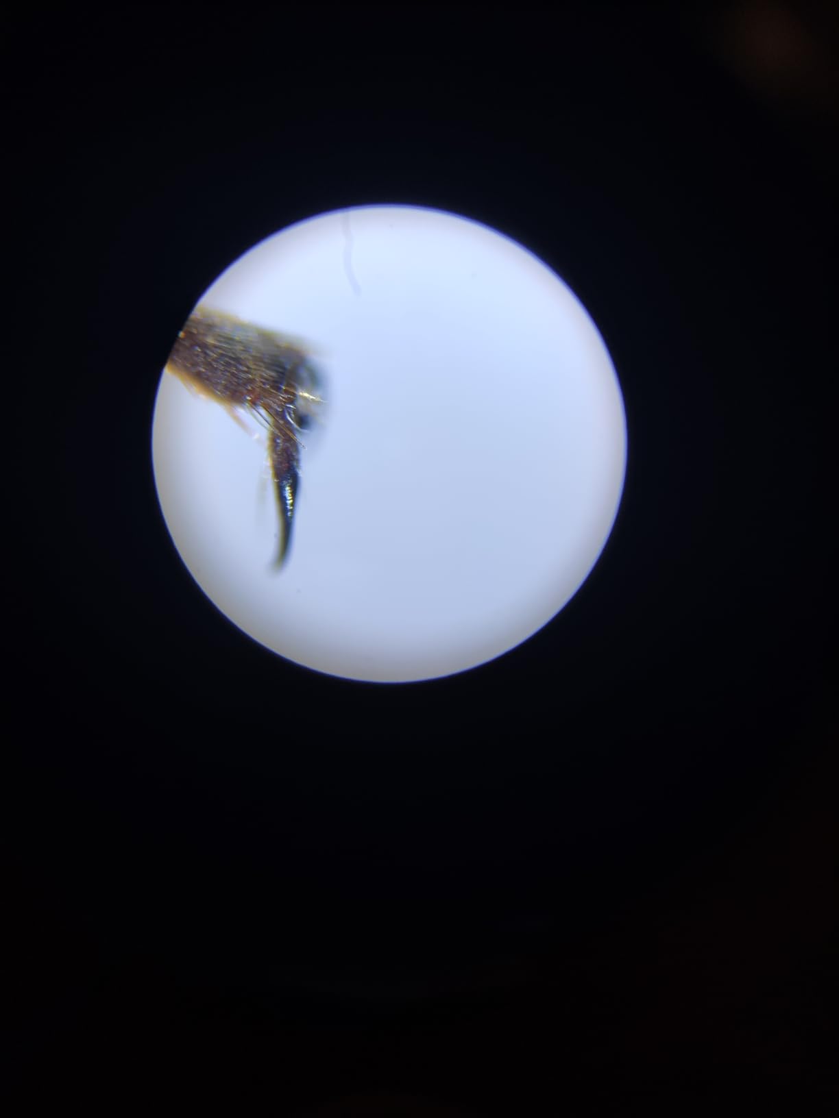 Viel Zubehör, gute Optik