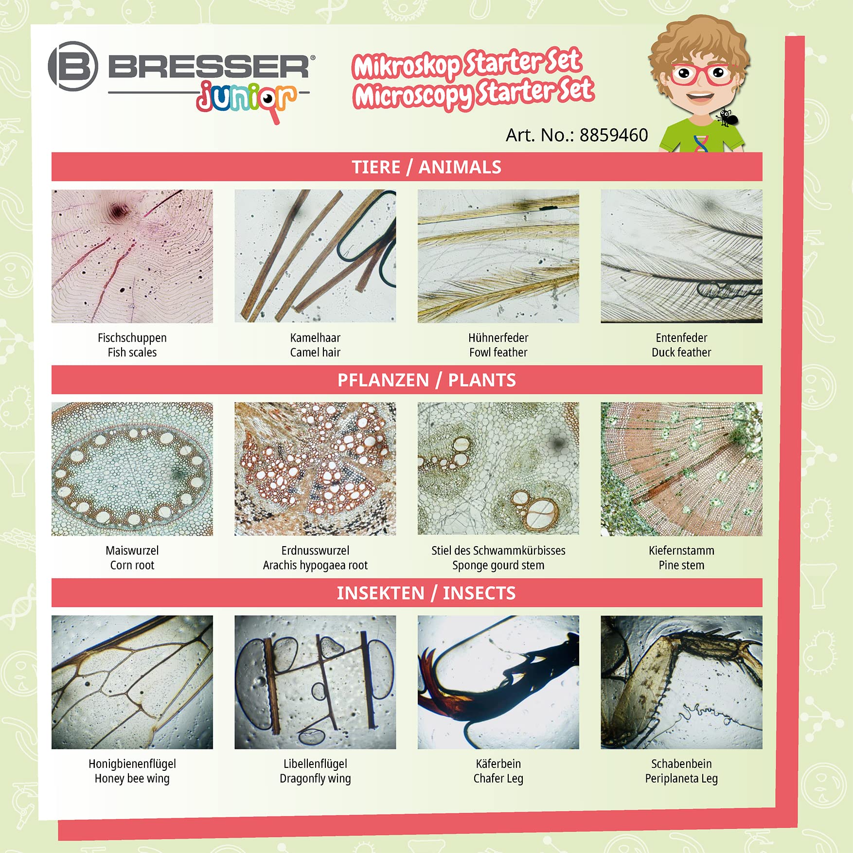 bresser-junior-24-dauerpr-parate-mikroskop-starter-set-6-objekttr-ger image 5