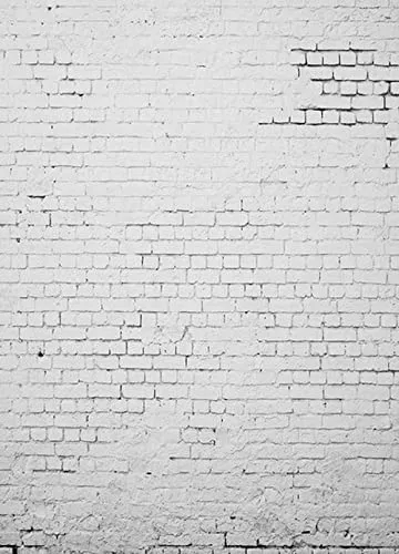 bresser-br-s1119-stoffhintergrund-mit-fotodruck-1-8-x-2-5-m image 1